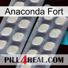Anaconda Strong 07